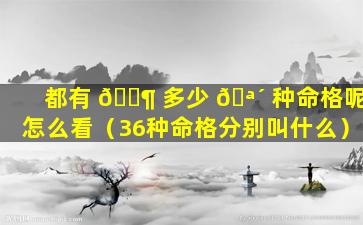 都有 🐶 多少 🪴 种命格呢怎么看（36种命格分别叫什么）